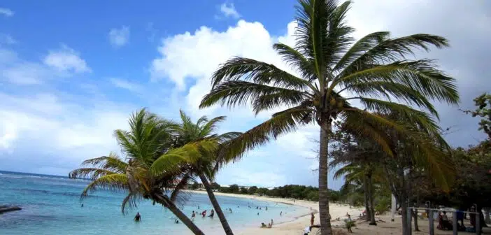 Plage Saint François