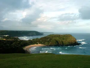 Wild coast