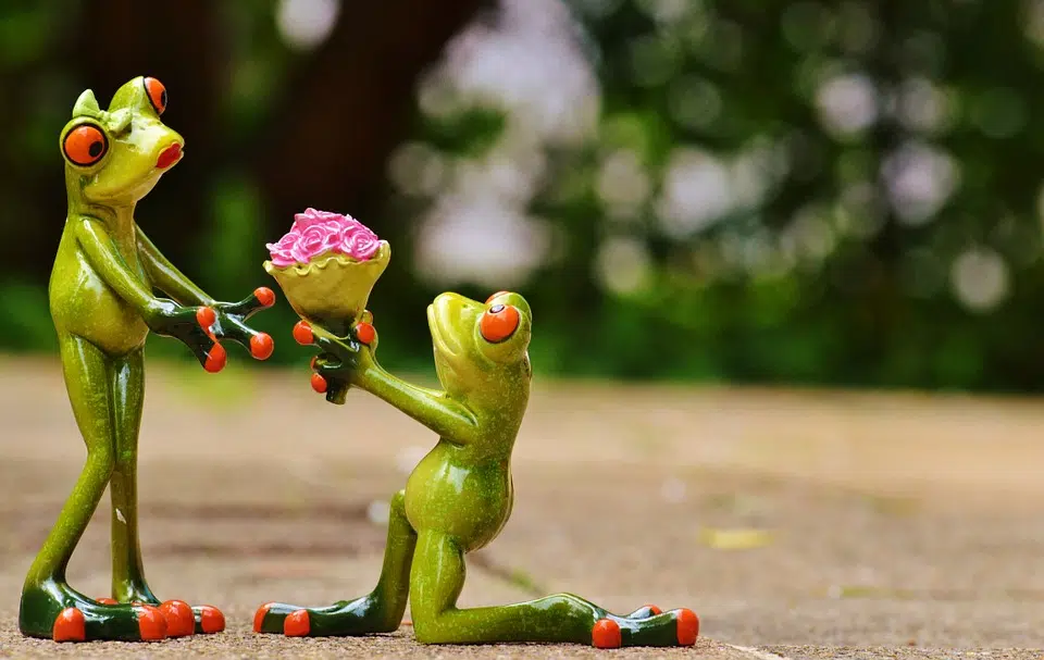 Saint-valentin-cadeaux