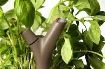 d’utilisation du terreau universel bio