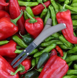 terreau bio universel