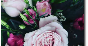 Fleuriste Parfum de fleurs, le messager de vos émotions