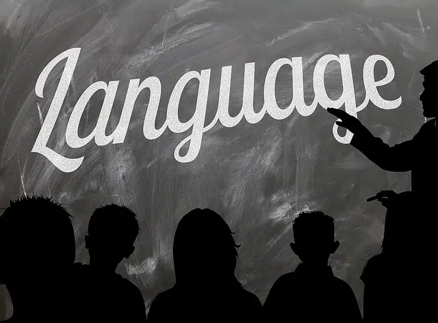 traducteur professionnel