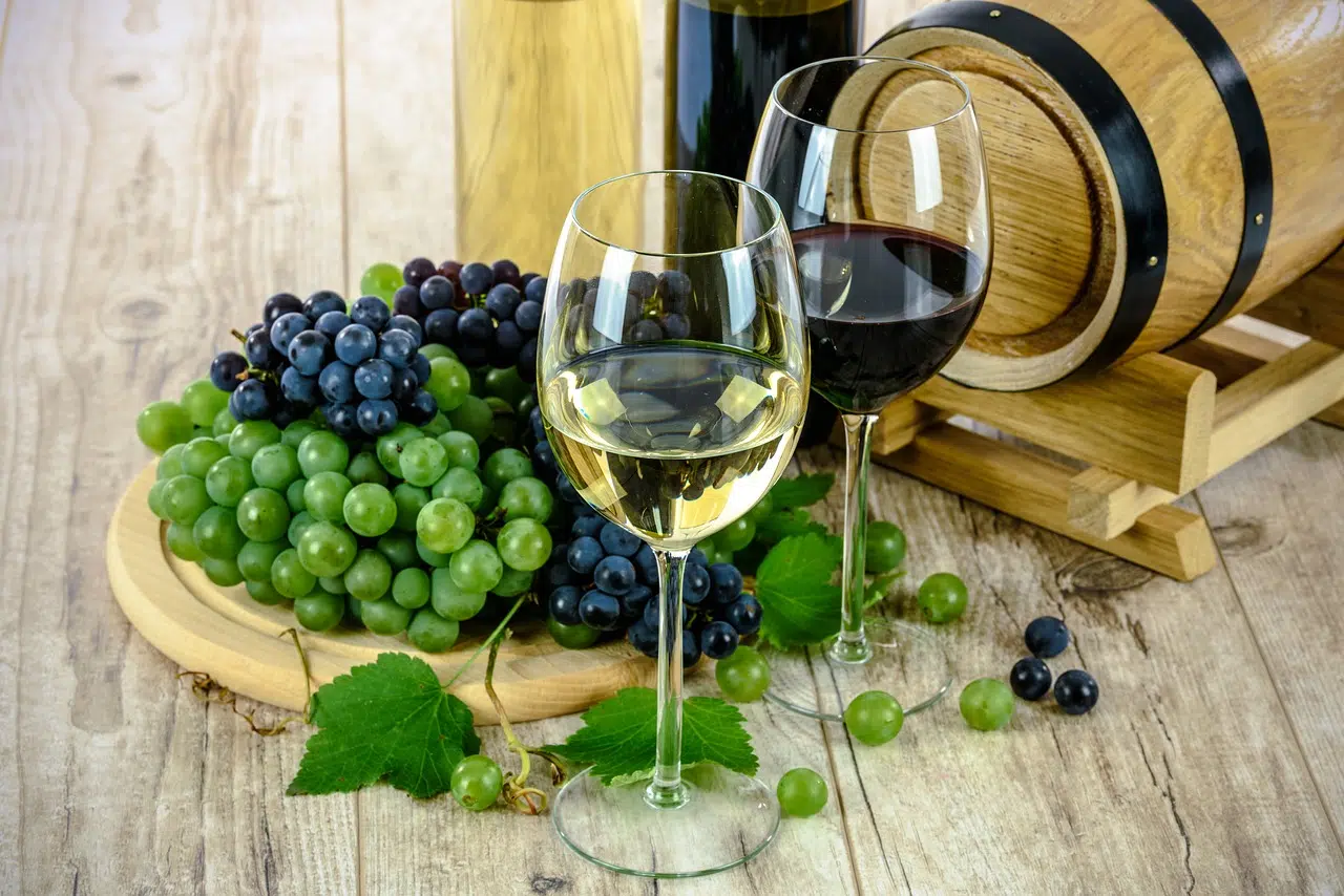vins-naturels-vins-etonnants