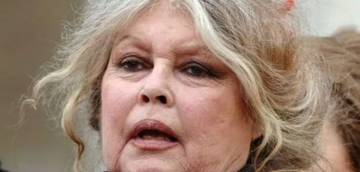 Anne Charrier la toile annonce qu'elle est la petite fille de Brigitte Bardot