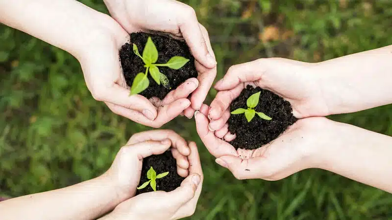 Comment créer une campagne de sensibilisation en ligne pour la protection de l'environnement