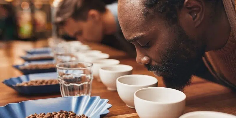 Comment retrouver le goût du vrai café