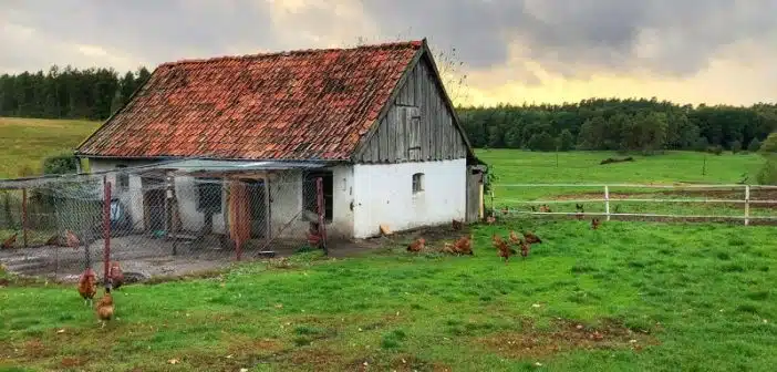 Les avantages et les inconvénients d'acheter une maison ancienne