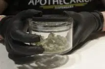Les ventes de CBD explosent