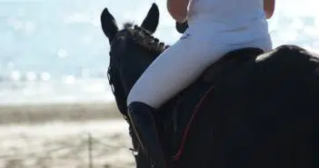 pantalon equitation blanc