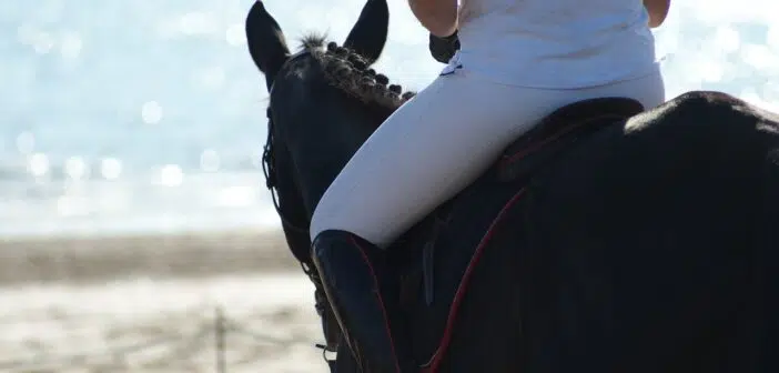 pantalon equitation blanc