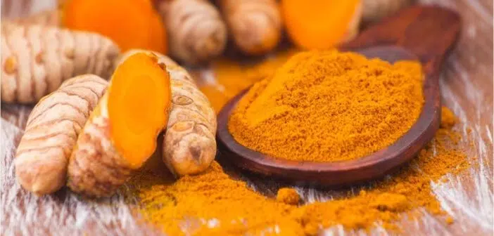 Quels sont les bienfaits du curcuma pour la santé