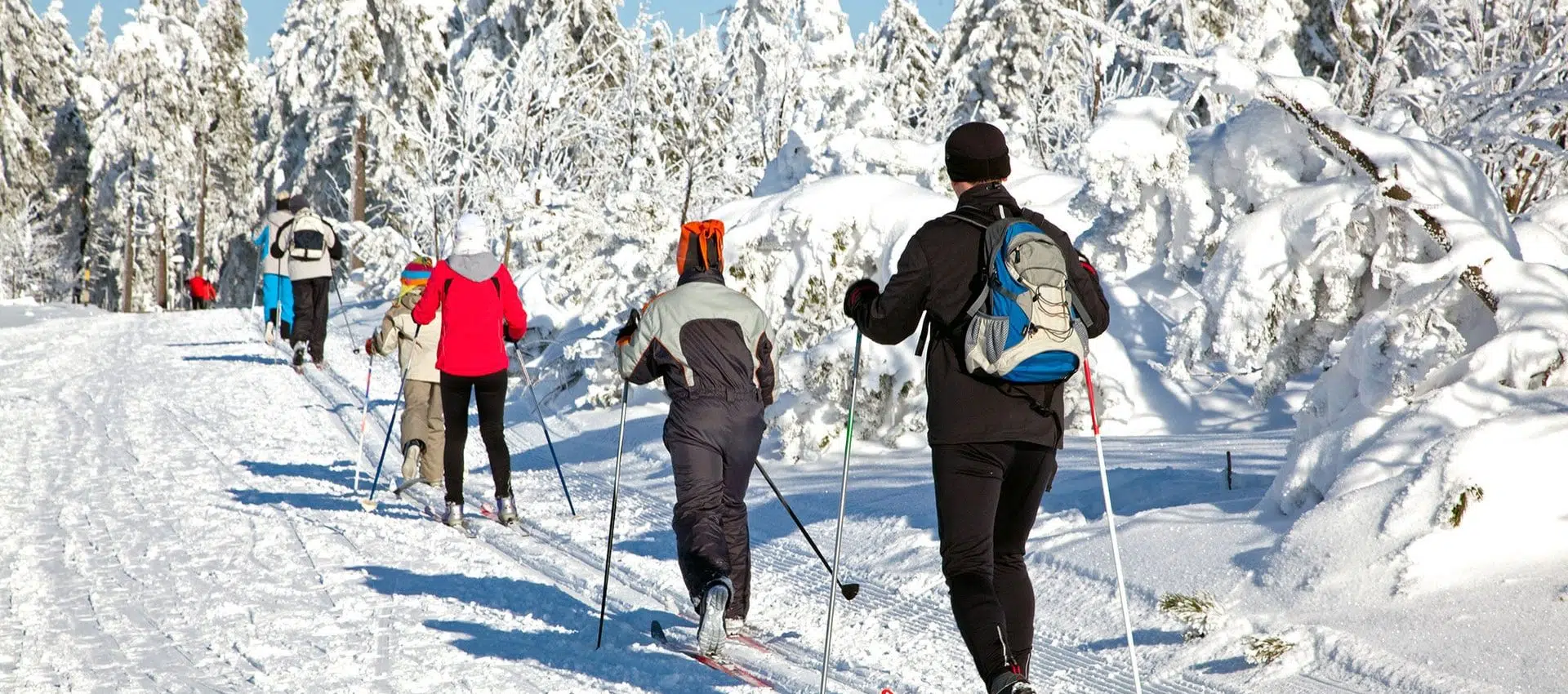 Des skieurs à fond