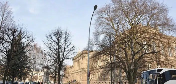 Université de Strasbourg