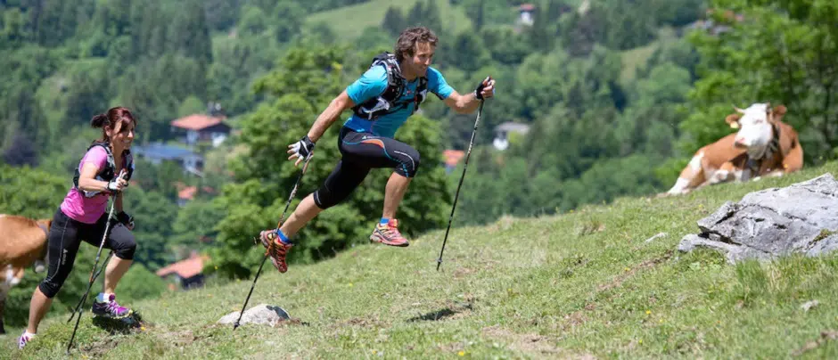 bâtons de trail fiables