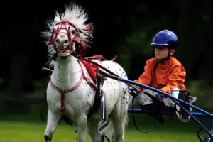 casque d'équitation pour enfant