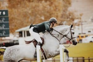 saut d'obstacle en concours d'équitation