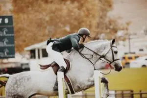 saut d'obstacle en concours d'équitation