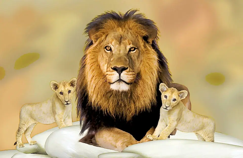 Un lion et deux lionceaux