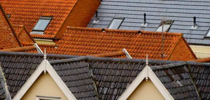 bird's eye view of assorted-color roof tiles
